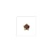 Health & Personal Care : Studex Sterilized Piercing Earrings * Ear Stud * Birthstar * February