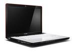 Lenovo IdeaPad Y550 notebook - Intel® CoreTM 2 Duo processor P8700 (2.53GHz 1066MHz 3MB), Genuine Windows Vista Home Premium,15.4 WXGA TFT, w/ CCFL Backlight, 2 GB PC3-8500 DDR3 SDRAM 1067MHz , 160 gb sata hd, DVD Recordable 8x Max Dual Layer, Ultrabay Slim (Serial ATA), ATI Mobility Radeon 3650 with 256MB with Intel Advanced Management Technology