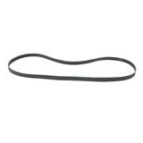 Continental Serpentine Belt by Continental