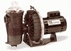 Challenger High Flow Pump - 2 HP