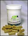 PetAlive Natural Moves to Prevent Constipation in Pets