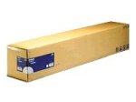 Epson - Glossy film - white - Roll (111.8 cm x 20 m) - 180 g/m2 - 1 pcs.