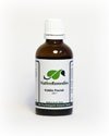 Native Remedies Kiddie Florish for Children to Promote Healthy Appetite