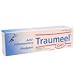 Personal Health Care : Heel Traumeel Gel 50 Gm Tube