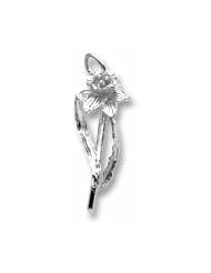 Daffodil Charm