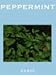 LaMuller �A���}�I�C��100���� �y�p�[�~���g