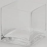 ガラスプランター レギュラーキュープS