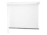 Baronet Plugnplay Projection Screen 84 4:3