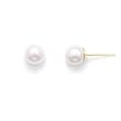 5-5.5mm AAA Akoya Pearls 14k Yellow Gold Earring