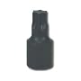1/2 In Dr Torx® Bit - T-70