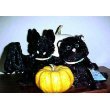 Webkinz Halloween Bat & Cat By Ganz