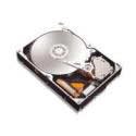 Maxtor DiamondMax 10 - Hard drive - 320 GB - internal - 3.5" - SATA-300 - 7200 rpm - buffer: 16 MB