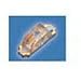 598-8810-307F, LED Tri-Color Blue/Green/Red 4-Pin Chip 1208(3020Metric) T/R (25 Items)