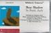 Bear Shadow (Audiocassette)