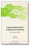 Cellular Mechanisms of Sensory Processing: The Somatosensory System (NATO ASI Series / Cell Biology)