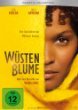 Produkt-Bild: W&uuml;stenblume