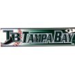 Tampa Bay Devil Rays - Logo & Name Bumper Sticker MLB Pro Baseball