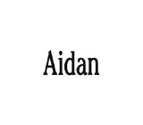 Clearly Charming Name Aidan RED HEART Laser Italian Charm Link