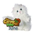 WEBKINZ CARING VALLEY PERSIAN CAT