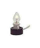 C7 Watt Light Bulb With Cord