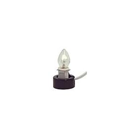 C7 Watt Light Bulb With Cord