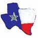 Texas Map Pinata