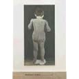 Marlene Dumas: Selected Works