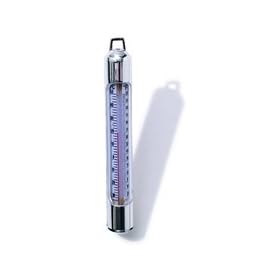 Deluxe Chrome Thermometer for Swimming Pools