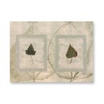 Lifestyle Collections Table Mats (6)-Folio