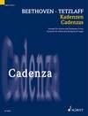 Cadenzas-to the Concerto for Violin and Orchestra D major op. 61 Cadenza 6 violin and timpani: zum Konzert für Violine und Orchester D-Dur op. 61