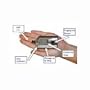 FBiDrive 2 GB Fingerprint Biometric Identity Drive (FBi3448-CL)