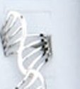 Improving Lifestyles Metal Ring Adj Open Swirl
