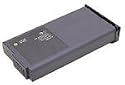 Technuity Laptop Battery for Compaq Presario 1200, 1600, 1800 Series (LP-PRES-LI)