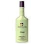 Pureology Serious Colour Care Purify Shampoo 10.1 Ounces