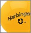 Harbinger 2-Pound Weighted Resistance Ball