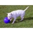 Boomer Ball Interactive Dog Toy (8 Diameter)