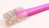 14 foot feet ft PINK Category 5e Cat5e Ethernet Network Patch Cable Cord for Internet Router Switch Hub and Gaming Gold Plated Male to Male RJ45 Connectors for Base T Networks Works best for your desktop laptop router modem switch hub DSL xBox PS2 or PS3 11ZVKTWcaTL. SL160 14 foot feet ft PINK Category 5e Cat5e Ethernet Network Patch Cable Cord for Internet Router Switch Hub and Gaming Gold Plated Male to Male RJ45 Connectors for Base T Networks Works best for your desktop laptop router modem switch hub DSL xBox PS2 or PS3