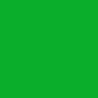 Miniature Green Wall to Wall Carpeting for the Dollhouse