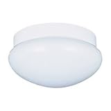 7638-15 - SeaGull Lighting Single-Light White Ceiling
