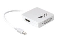 DELOCK Adapter Displayport mini > DP/HDMI/DVI29 Preisvergleich