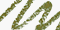Rich Green