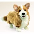 Plush Corgi Puppet 16 