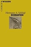 Echnaton - Hermann A. Schl&ouml;gl