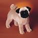 Plush Rocky Pug 14