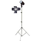 Savage Basic Studio Softbox Photo Lighting Kit with S-100 Studio Monolight Flash, 20 x 28 Softbox & 10' Aluminum, Air-Cushioned Lightstand