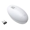 Sony Vaio VGP-WMS30/W Lasermaus drahtlos (USB) wei�