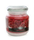 Ultradent Candle, Walterberry Scent