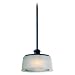 Troy Lighting F2236FBK Finley Mini Outdoor Pendant, Federal Black