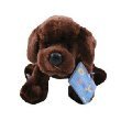 Webkinz Chocolate Lab with Trading Cards