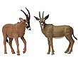 Antelope (Roan) By Noah's Pals